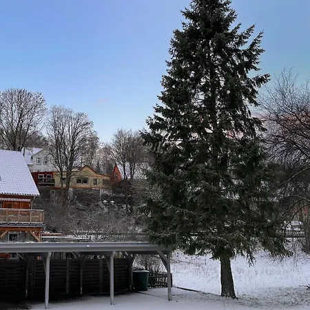 Hexenstube 2 Apartment Tanne